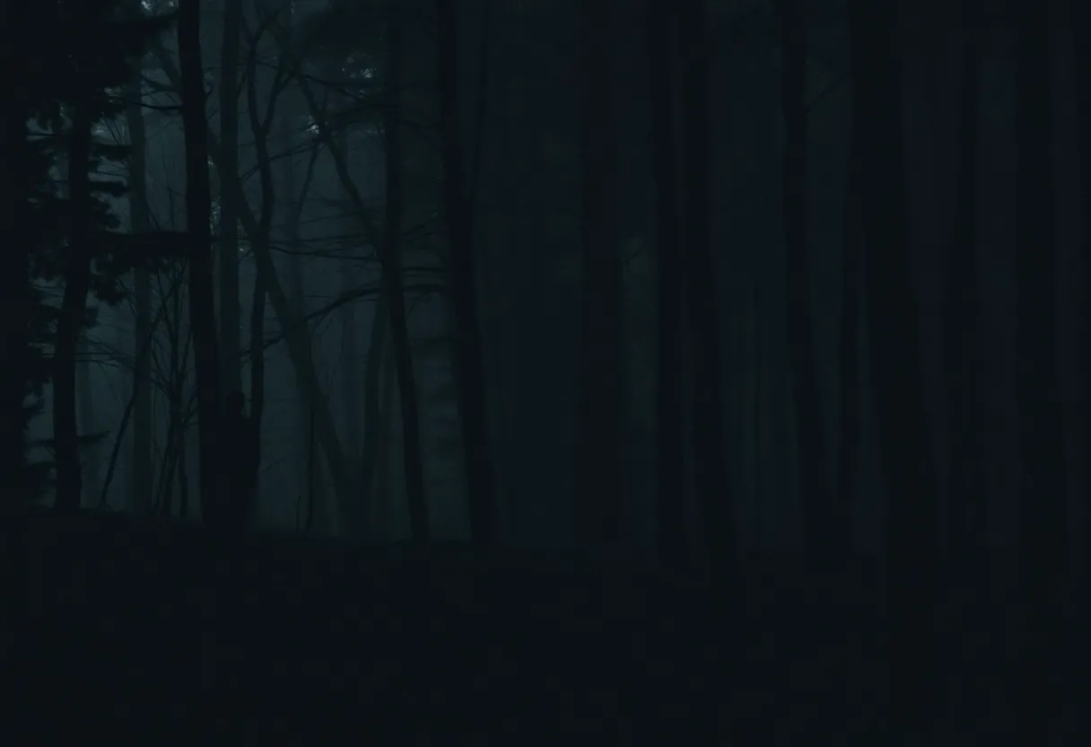 Mysterious shadowy figure in a dense forest.